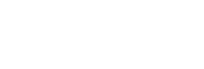 Lion Insurance Services